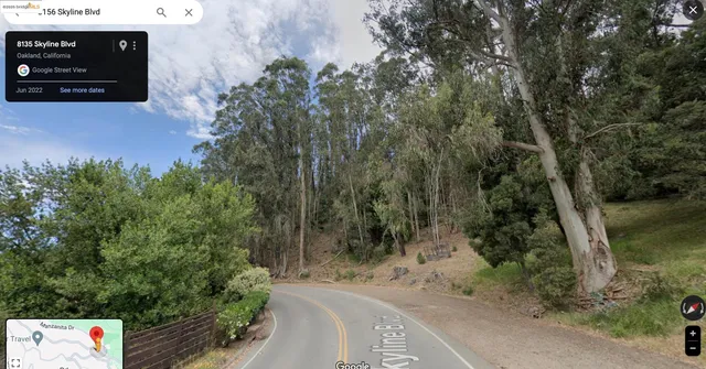 a picture of street view with trees