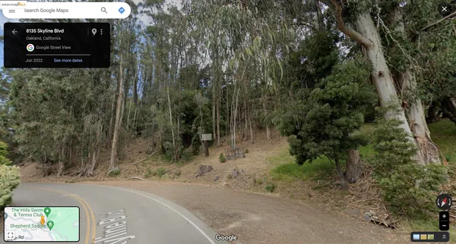a view of a dry yard with trees