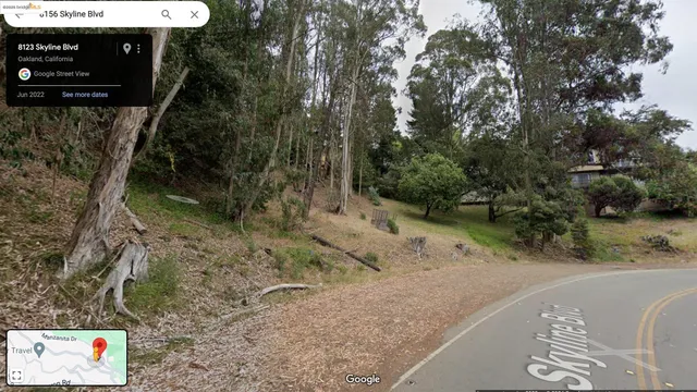 a view of a yard with a tree