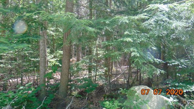 Tbd Cedar Rest Road Enfield, ME 04493 - Photo 3 of 5 DSC01148 (640x360)