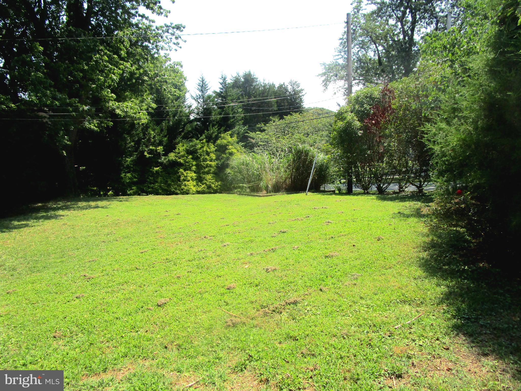 672 Red Cedar Road Annapolis, MD 21409 - Photo 4 of 39 Private Back Yard