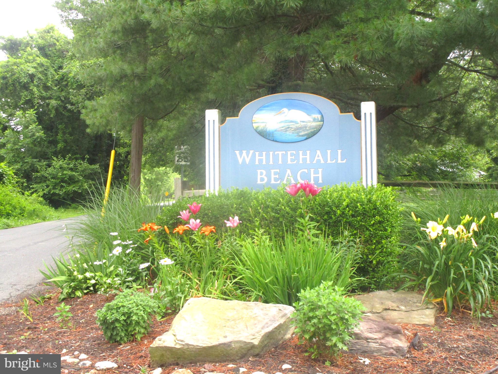 672 Red Cedar Road Annapolis, MD 21409 - Photo 5 of 39