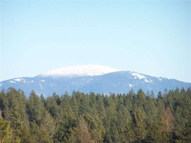27805 North Monroe Road Deer Park, WA 99006 - Photo 2 of 5