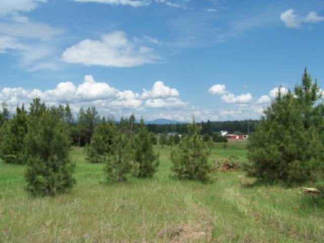 27805 North Monroe Road Deer Park, WA 99006 - Photo 3 of 5