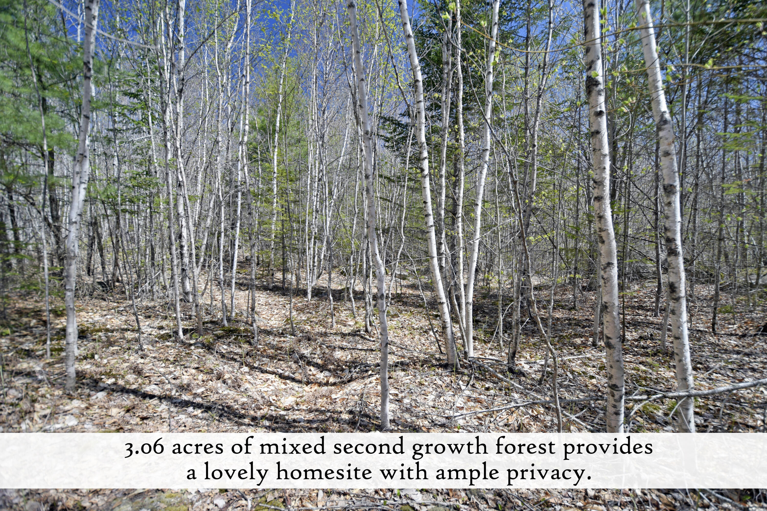 429 Winkumpaugh Road Ellsworth, ME 04605 - Photo 14 of 31 lot 2, label
