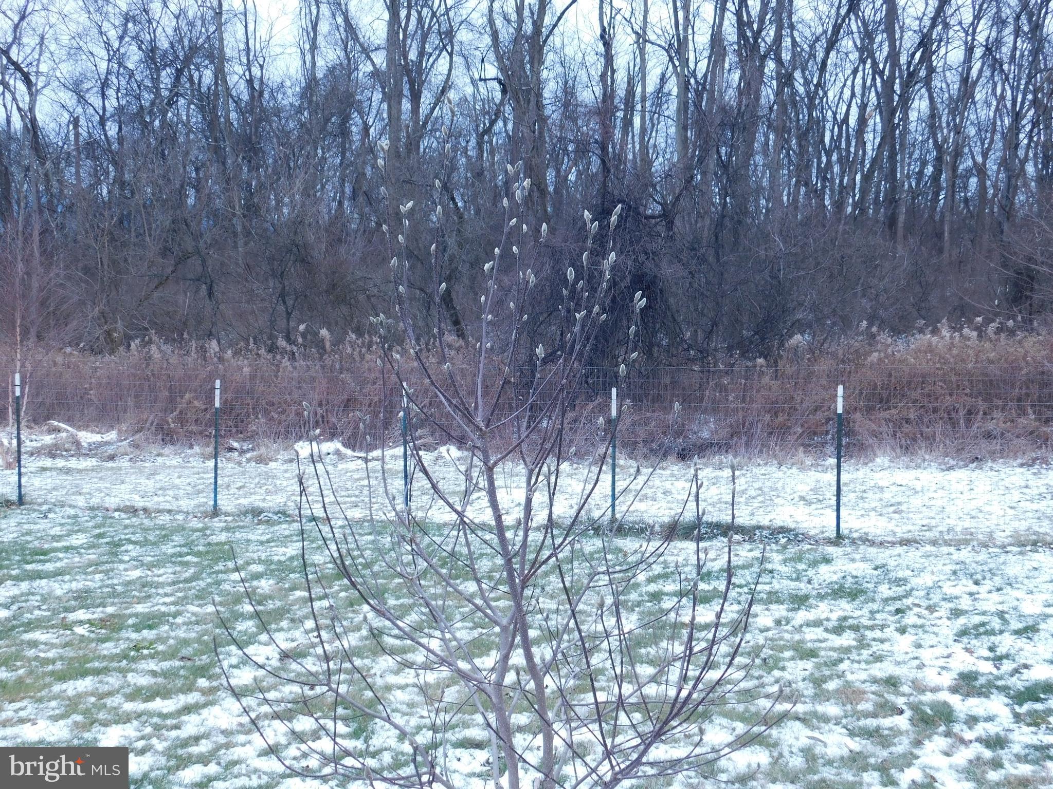 122 Loop Road Lewistown, PA 17044 - Photo 41 of 41 a view of yard covered with snow