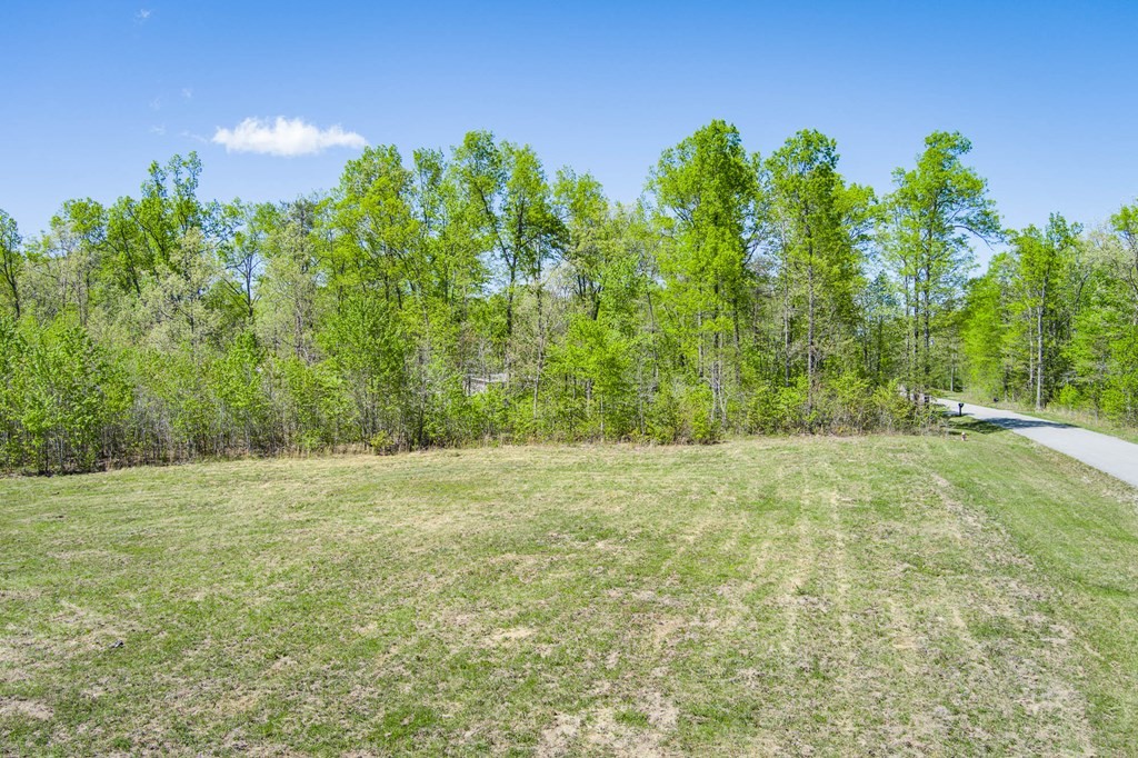 459 Tabletop Road Monterey, TN 38574 - Photo 3 of 4 Gallery Image 3