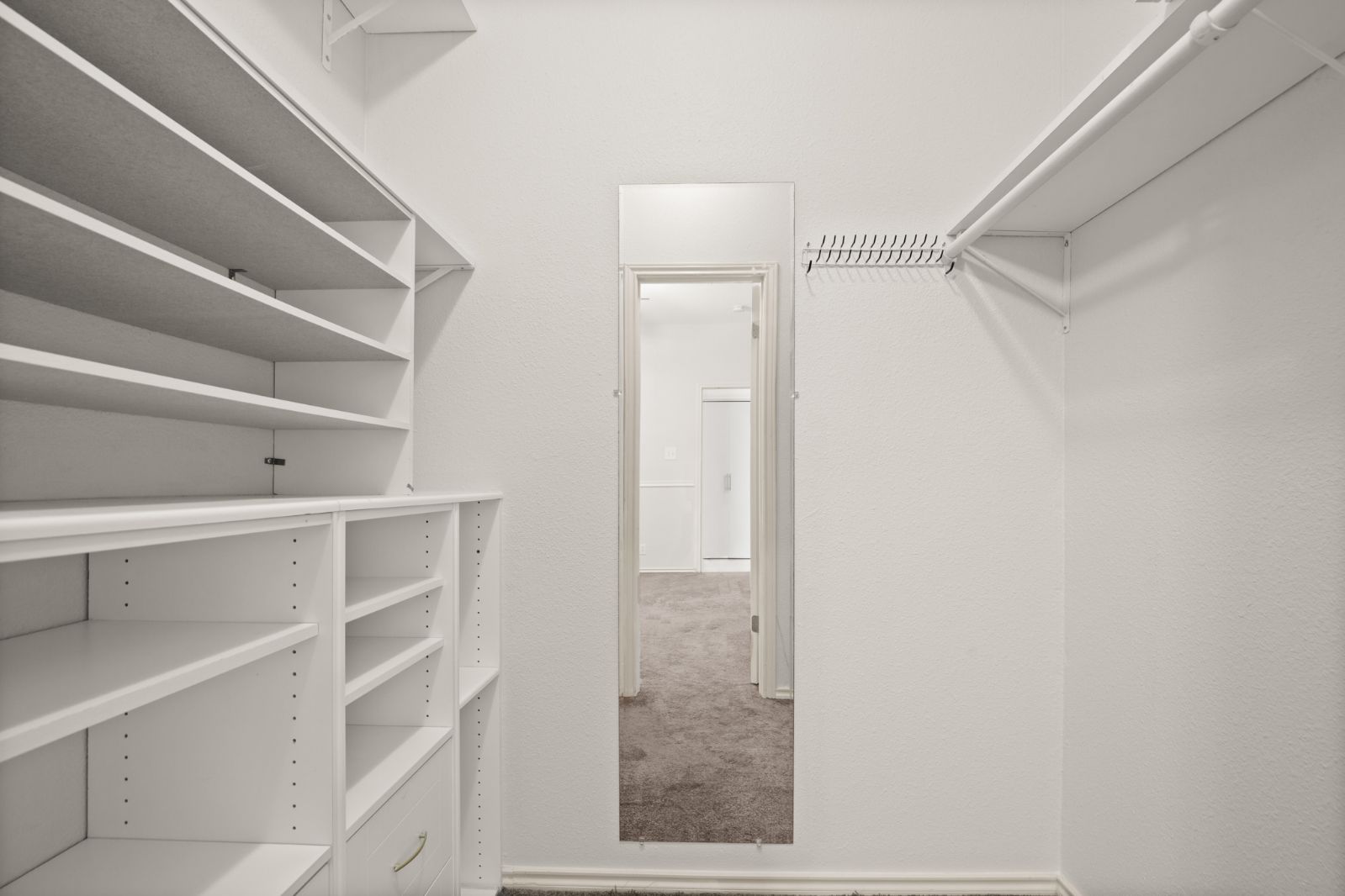 11970 Jollyville Road, Unit 216 Austin, TX 78759 - Photo 20 of 20 Walk in closet with carpet floors