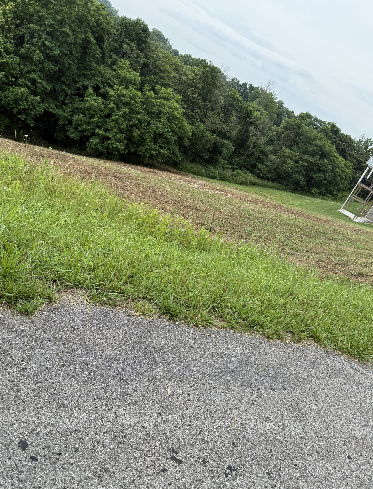 0 Mallard Road Celina, TN 38551 - Photo 8 of 18