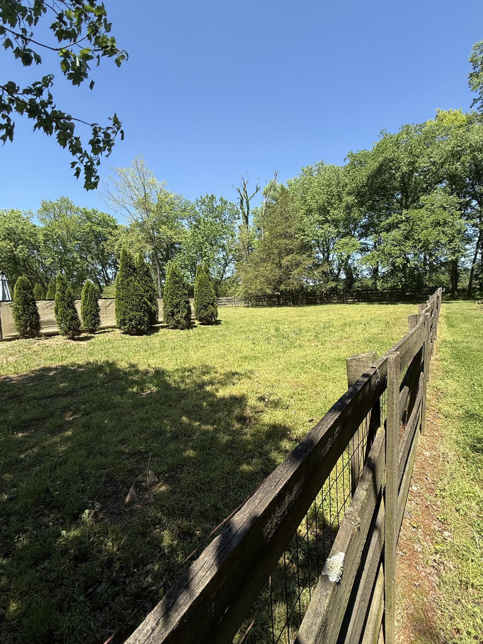 2118 Sue Lane Spring Hill, TN 37174 - Photo 14 of 14