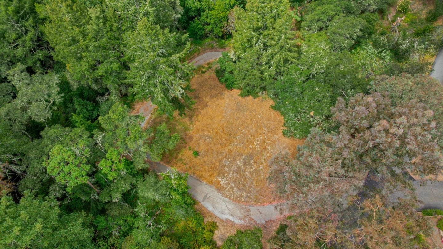 27 Willis Road Scotts Valley, CA 95066 - Photo 6 of 18