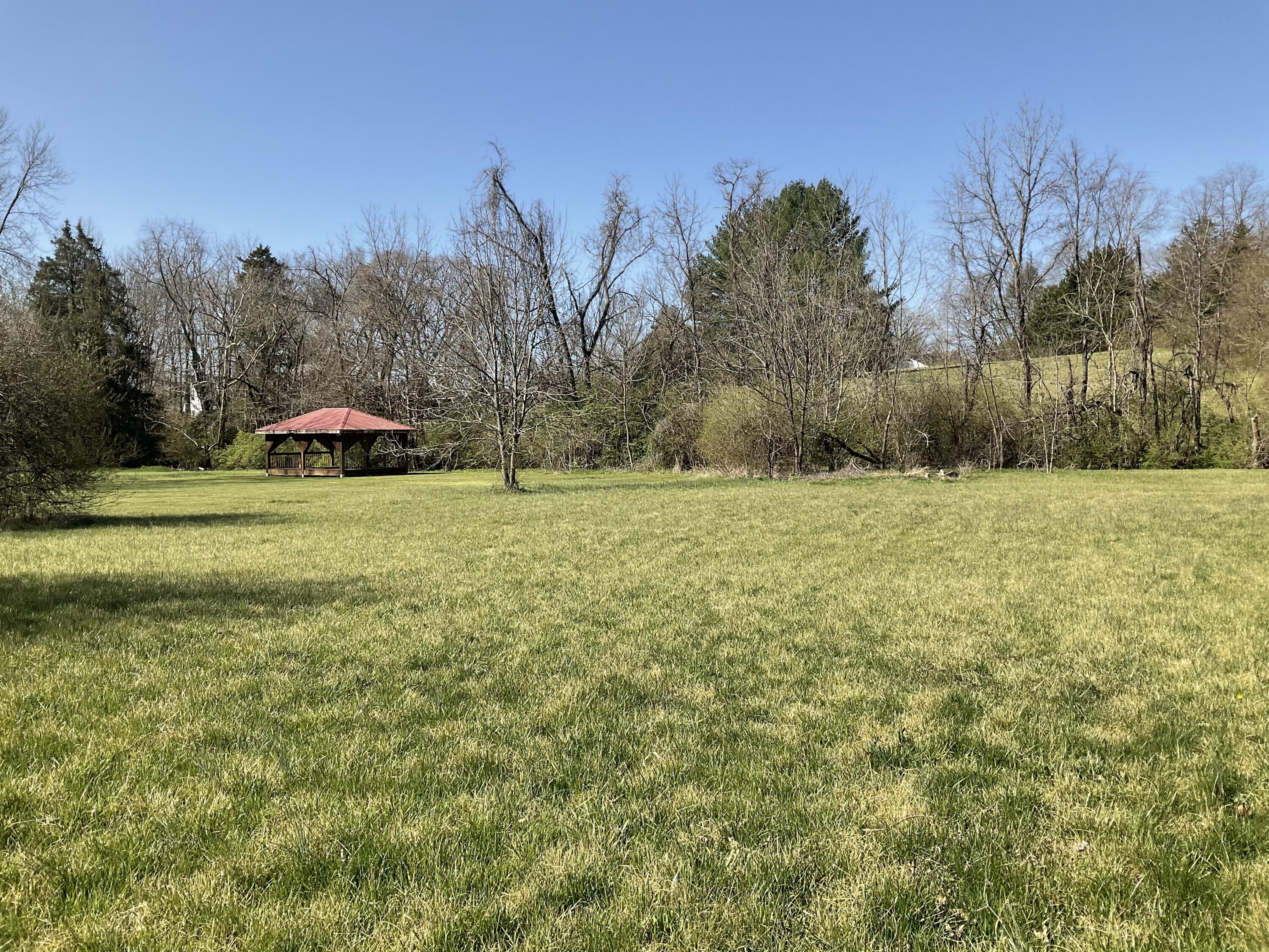 1.23-acres South Rufe Taylor Road Greeneville, TN 37745 - Photo 3 of 4 IMG_0056