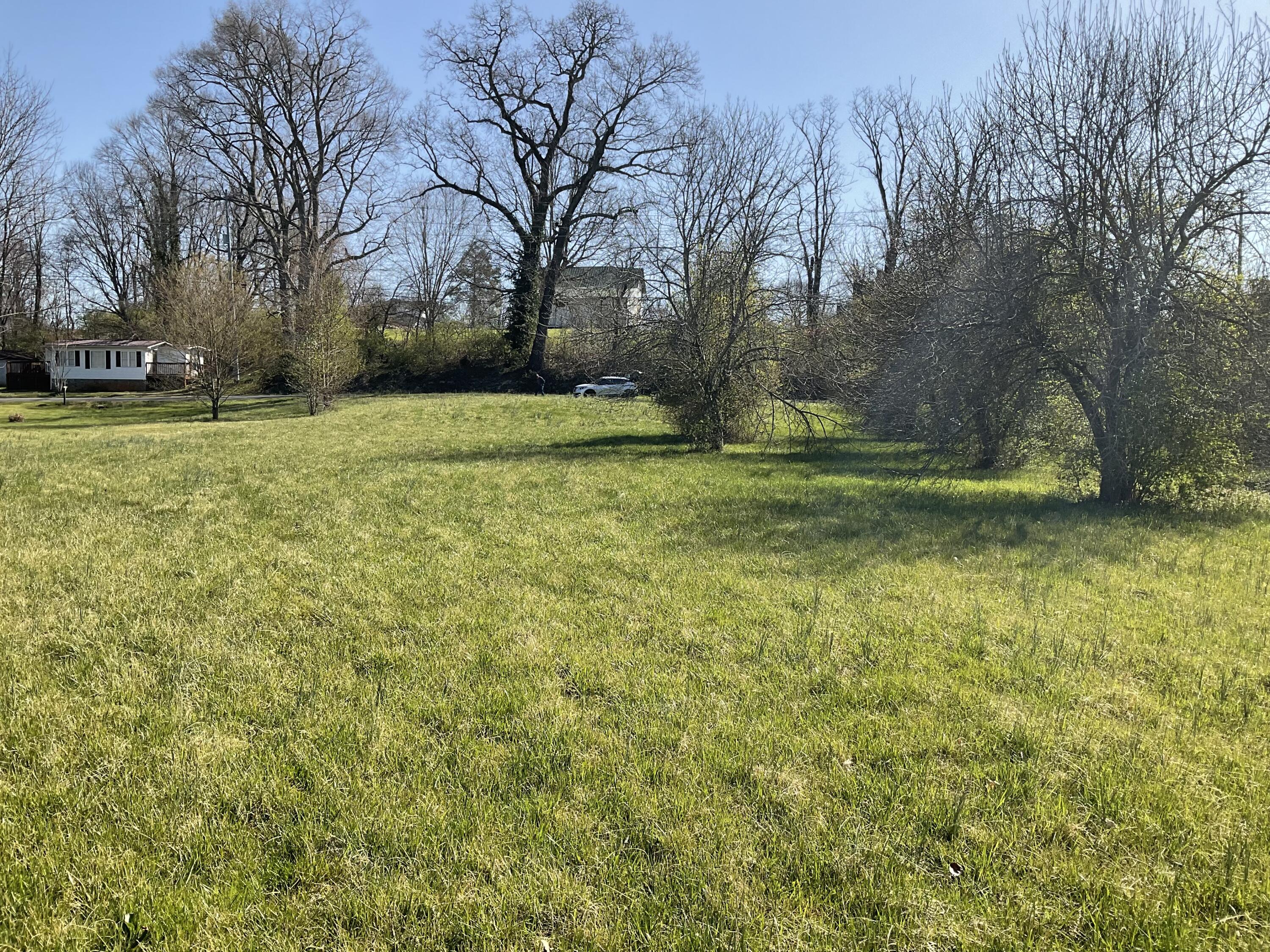 1.23-acres South Rufe Taylor Road Greeneville, TN 37745 - Photo 4 of 4 IMG_0057