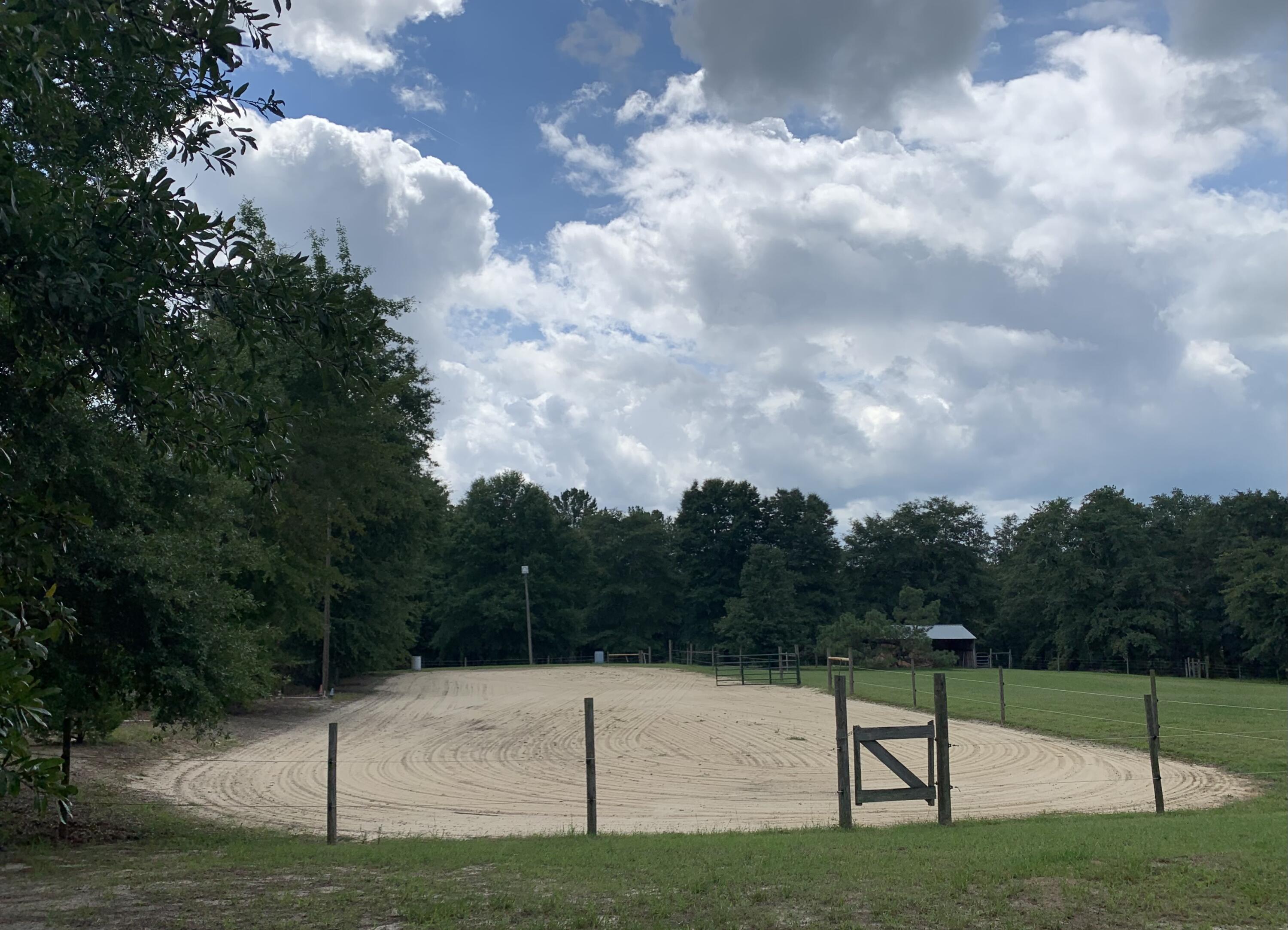 254 Our Road Salley, SC 29137 - Photo 36 of 51