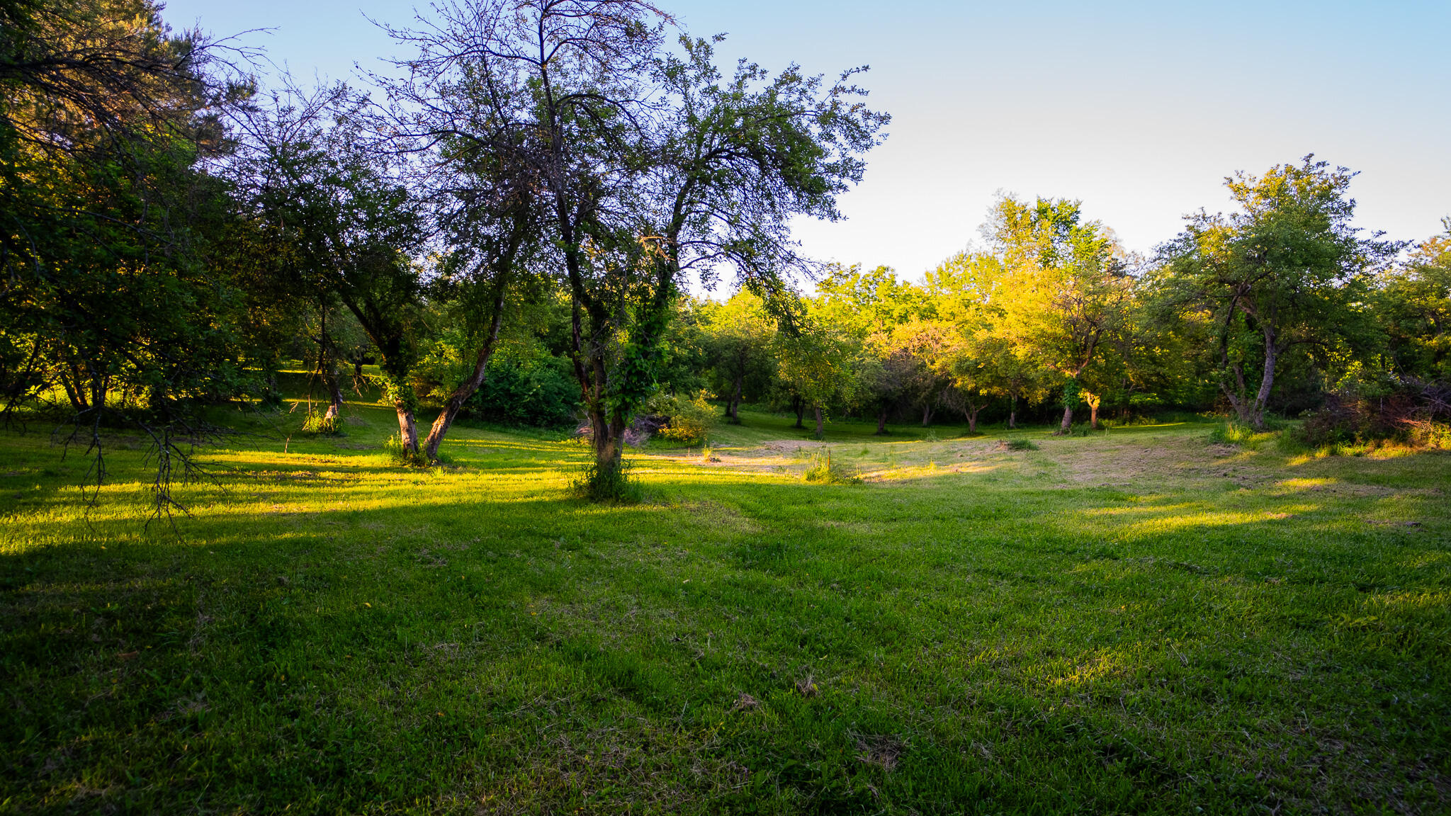 8703 Brookville Road Plymouth, MI 48170 - Photo 45 of 64 DSC01152