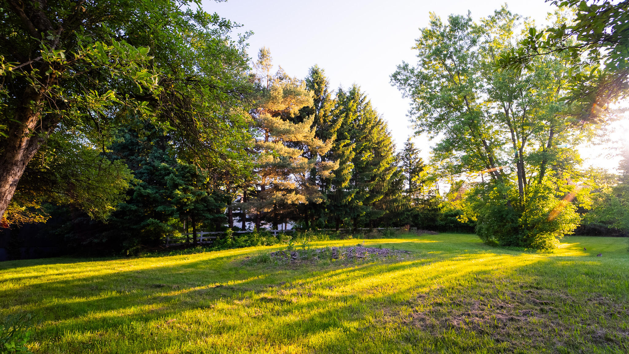8703 Brookville Road Plymouth, MI 48170 - Photo 56 of 64 DSC01158