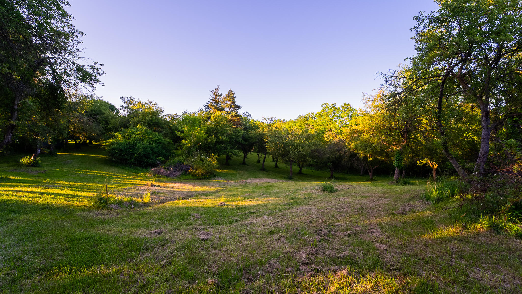 8703 Brookville Road Plymouth, MI 48170 - Photo 57 of 64 DSC01154