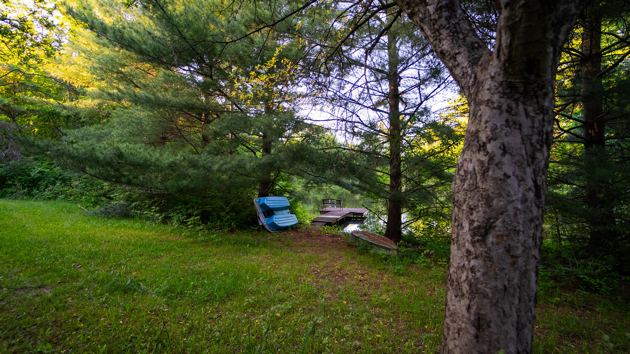 8703 Brookville Road Plymouth, MI 48170 - Photo 58 of 64 DSC01159