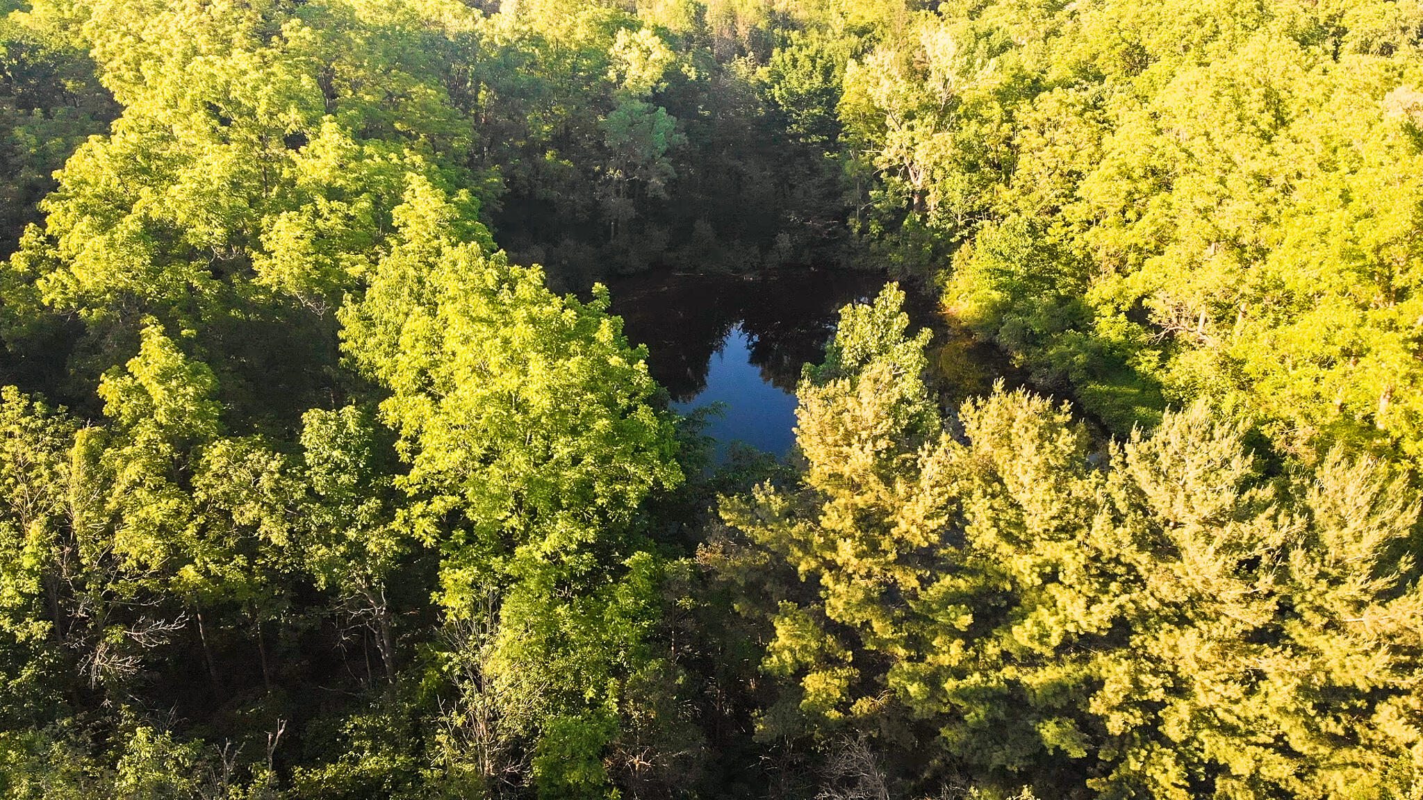 8703 Brookville Road Plymouth, MI 48170 - Photo 60 of 64 Lake 1