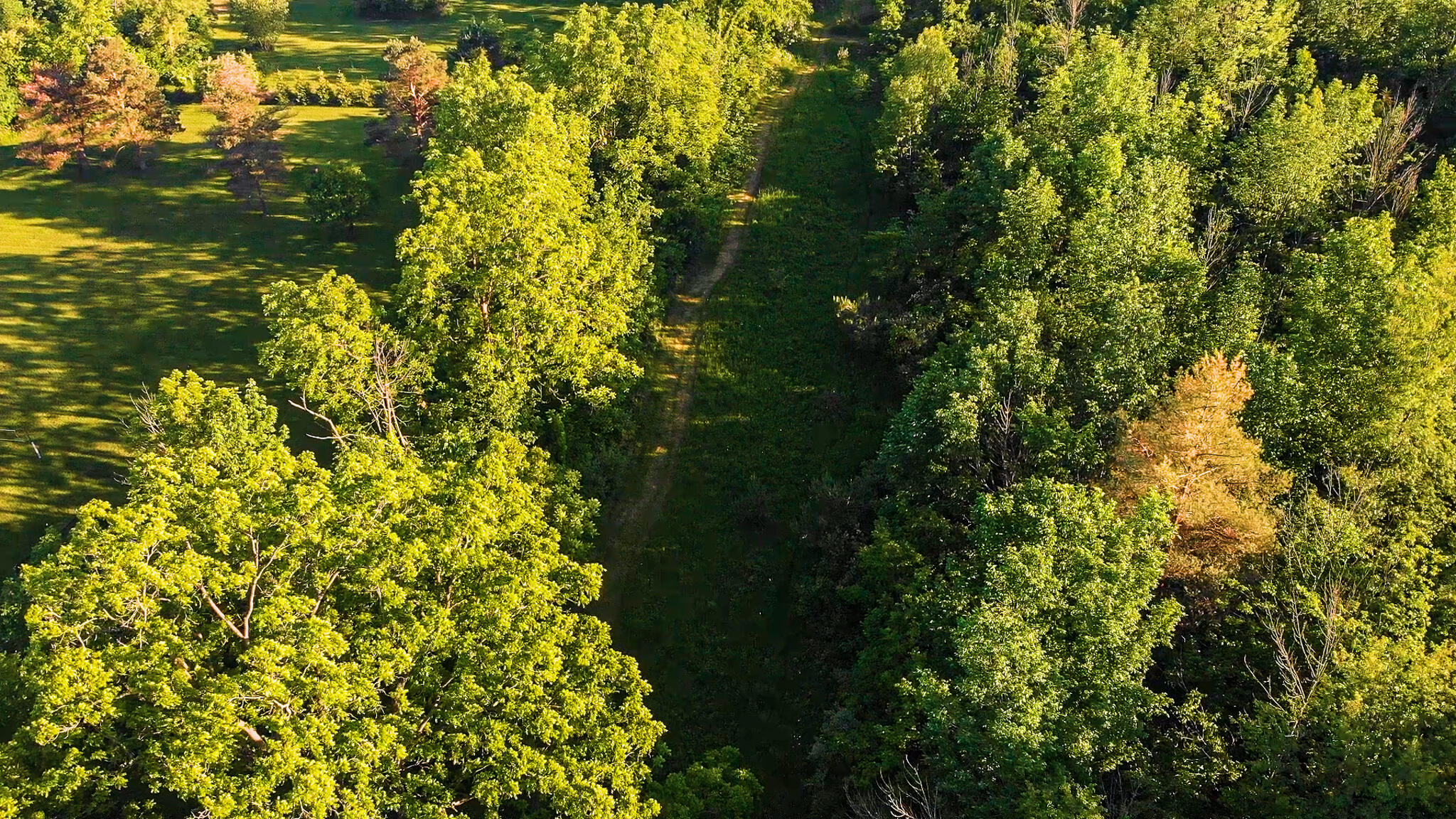 8703 Brookville Road Plymouth, MI 48170 - Photo 62 of 64 trail pic 1