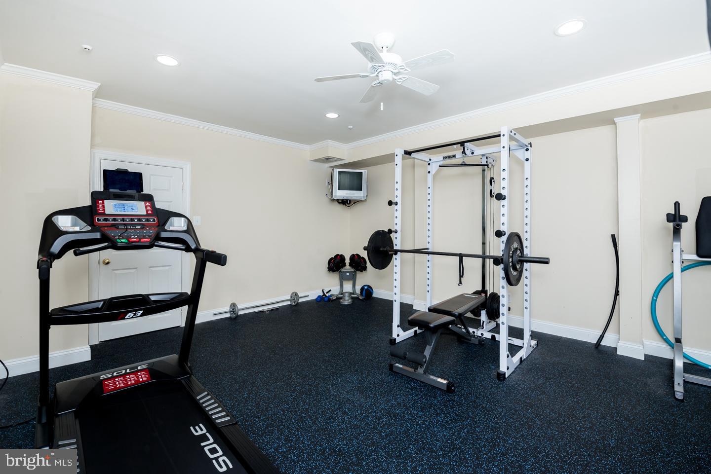 3745 Secondwoods Road Doylestown, PA 18902 - Photo 64 of 75 Personal Fitness Room with French Doors