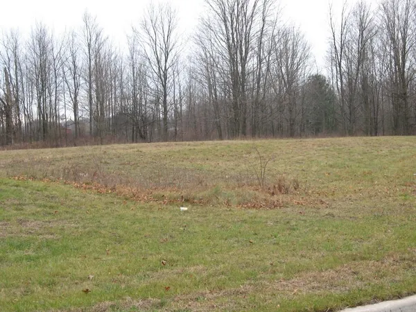 $19,900 | 59 Creek Drive, Hart, MI 49420