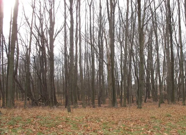 $19,900 | 59 Creek Drive, Hart, MI 49420