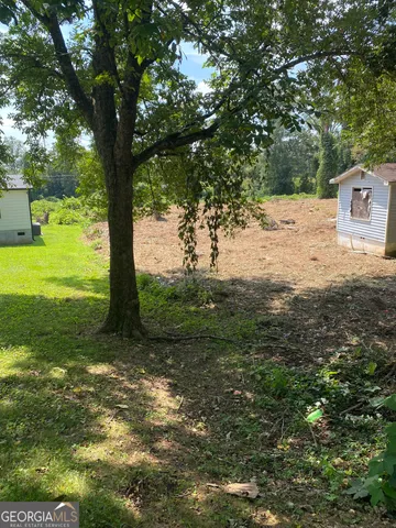 a view of a tree in a yard