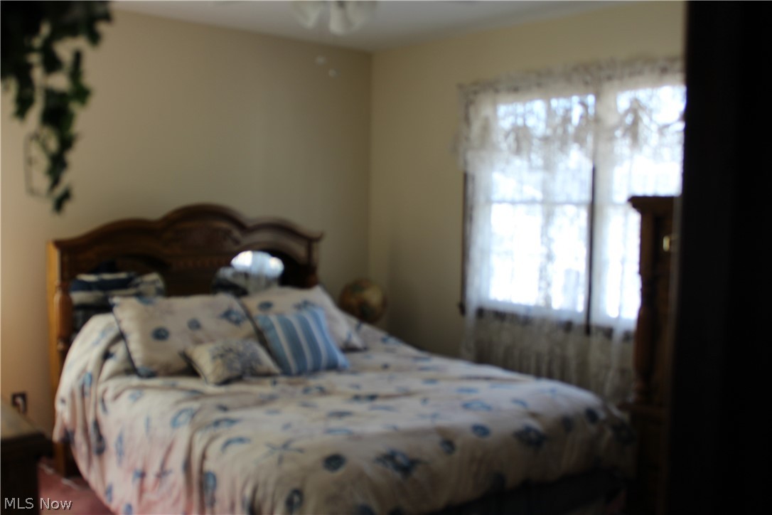 18658 Whitehead Road Lagrange, OH 44050 - Photo 19 of 32 Gallery Image 19