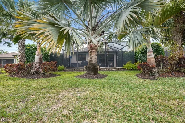 a view of backyard of house