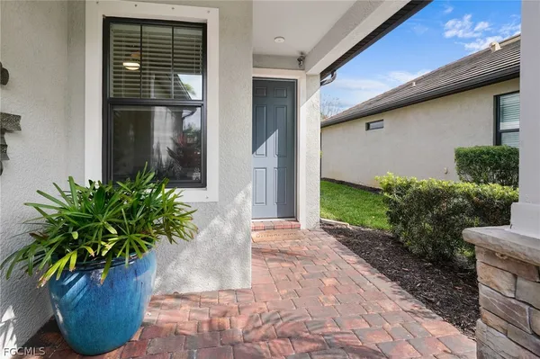a potted plant in front of a glass door