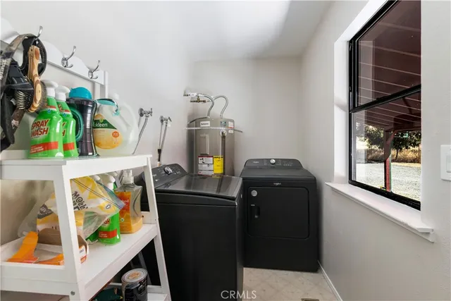 a view of a tree in the middle of a yard