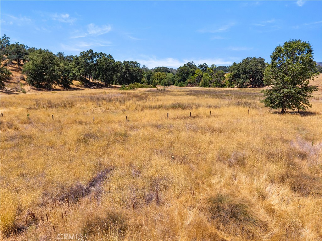 2225 Ladder Ridge Road Upper Lake, CA 95485 - Photo 50 of 58