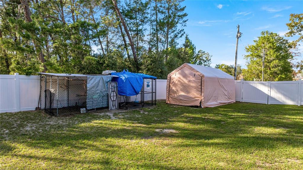 4590 Southwest 111th Place Ocala, FL 34476 - Photo 7 of 36 a backyard of a house with large trees and plants