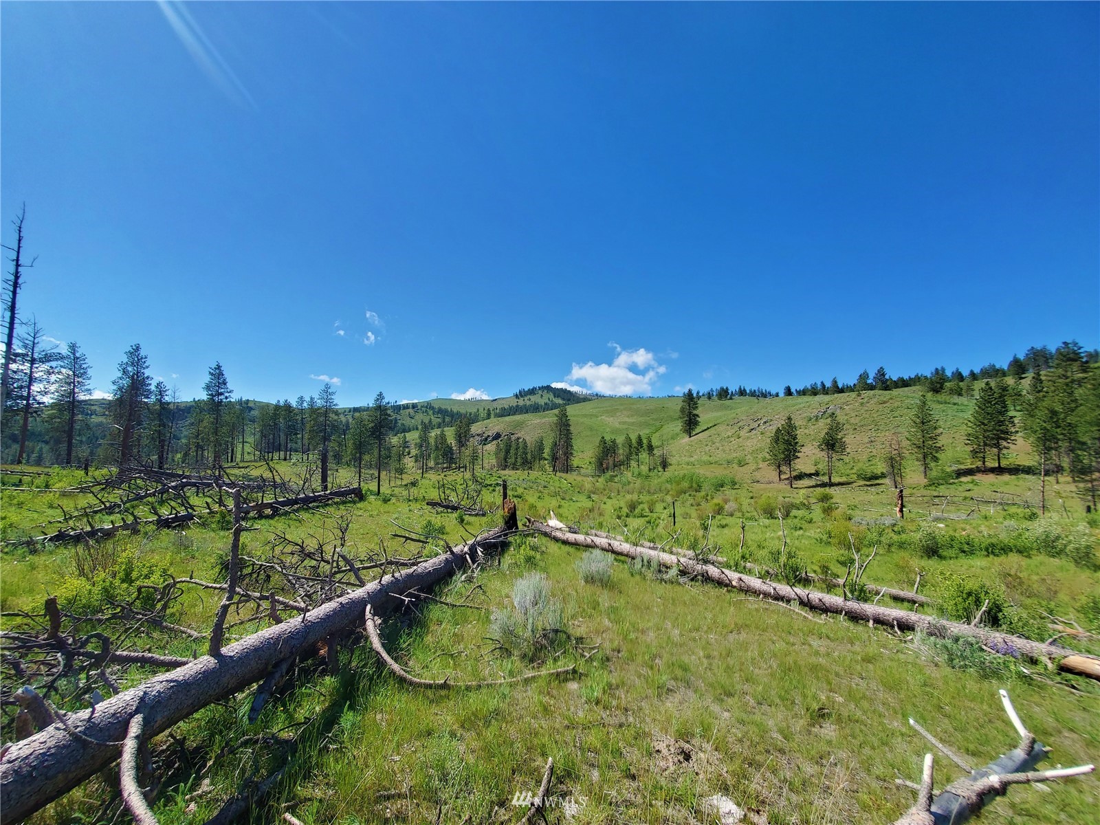 -tbd Tbd Cook Mtn Road Malott, WA 98829 - Photo 13 of 32 Gallery Image 13