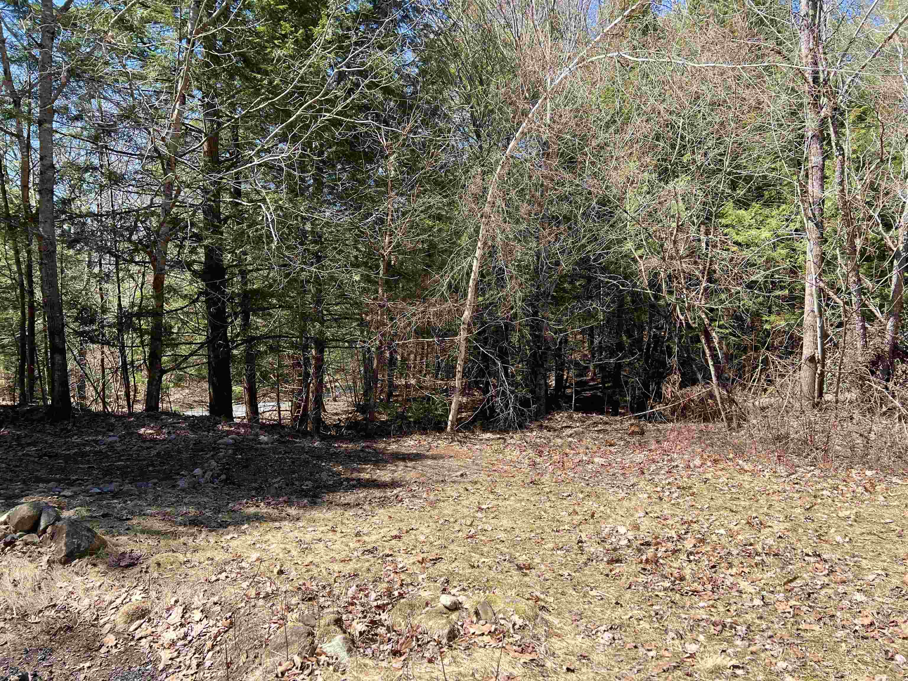 2560 Buffalo Road Rumney, NH 03266 - Photo 31 of 39 Gallery Image 31