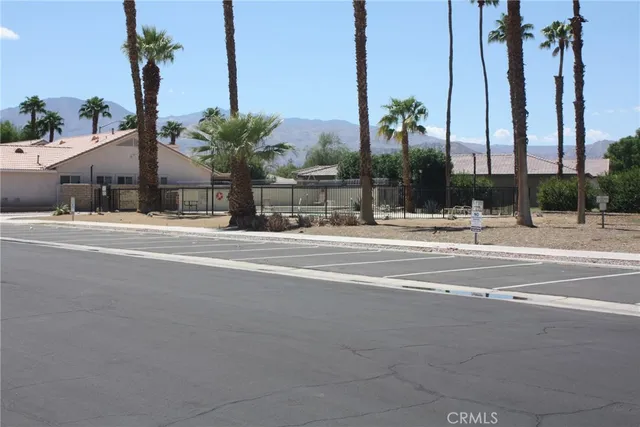 a palm plant sitting on the side of a road
