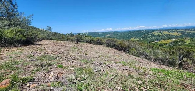 a view of a dry yard