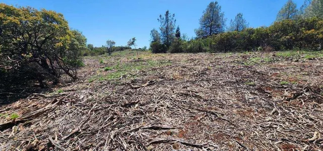 a view of a lush green outdoor space with a lake view