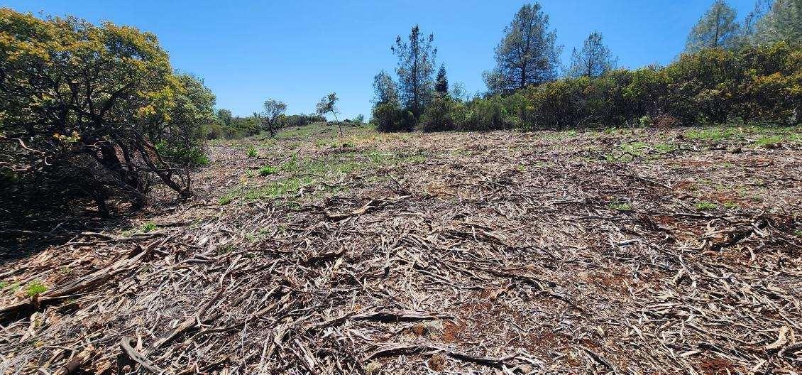 6 Jurgens Road Rescue, CA 95672 - Photo 17 of 24 a view of a dry yard with trees in the background