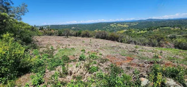 a view of a lot of trees in the distance