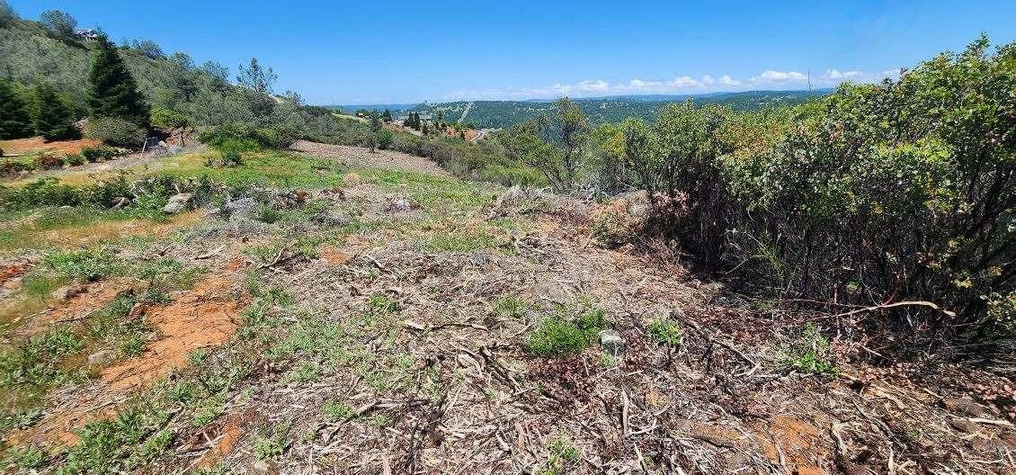6 Jurgens Road Rescue, CA 95672 - Photo 20 of 24 a view of a lush green forest with lawn chairs under an umbrella