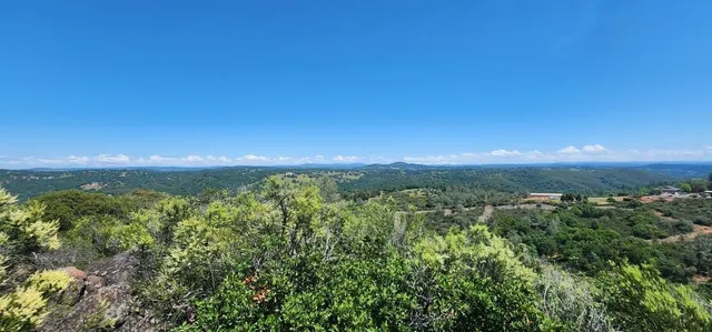a view of a city with lush green forest