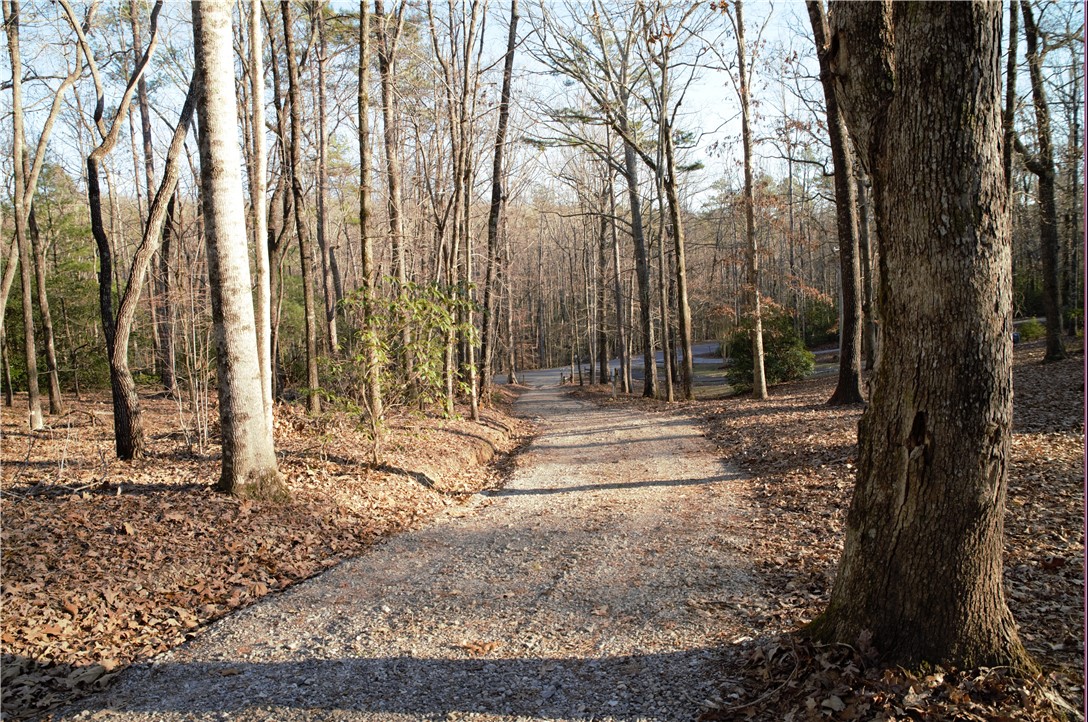 0 Ridge Springs Road Cleveland, SC 29635 - Photo 11 of 11 Gallery Image 11
