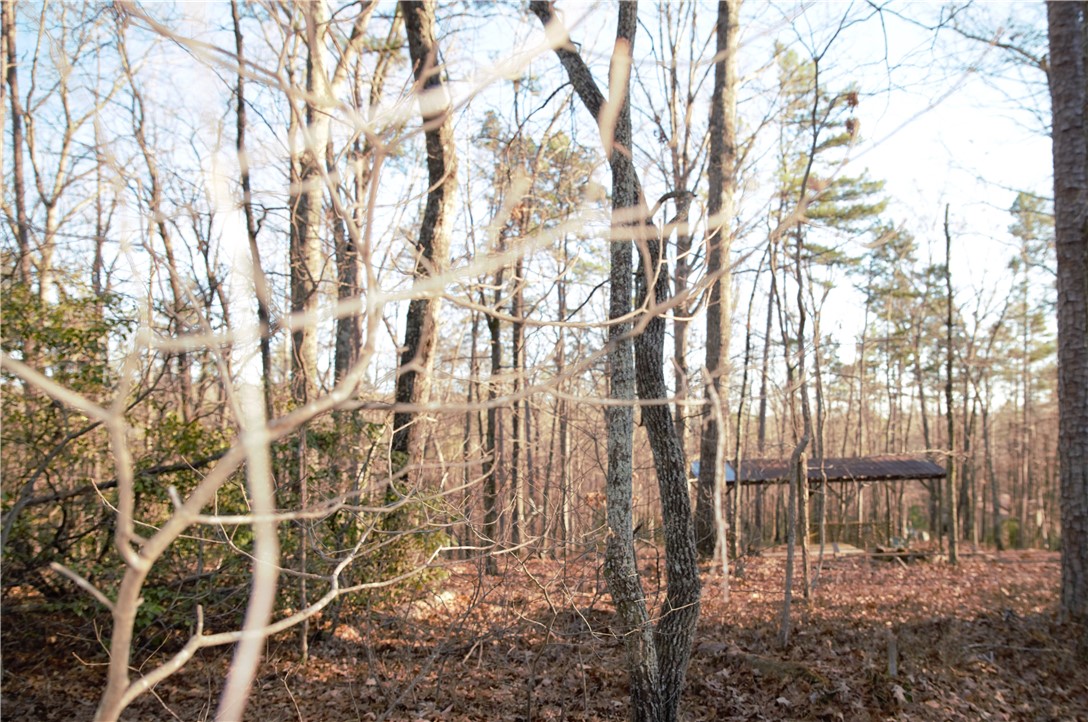 0 Ridge Springs Road Cleveland, SC 29635 - Photo 2 of 11 Gallery Image 2