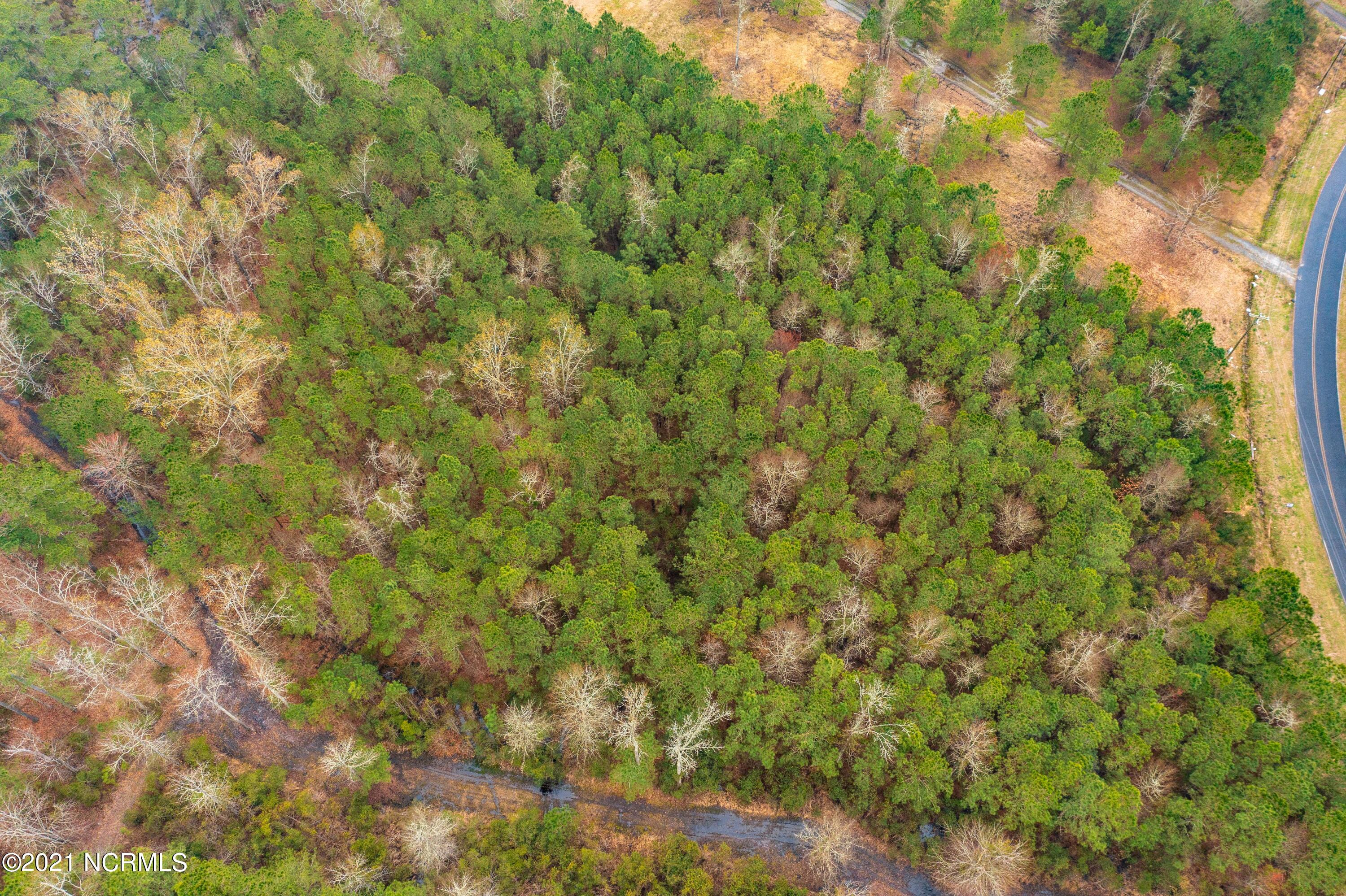 0 Pine Crest Road Bath, NC 27808 - Photo 4 of 9 Pine Crest