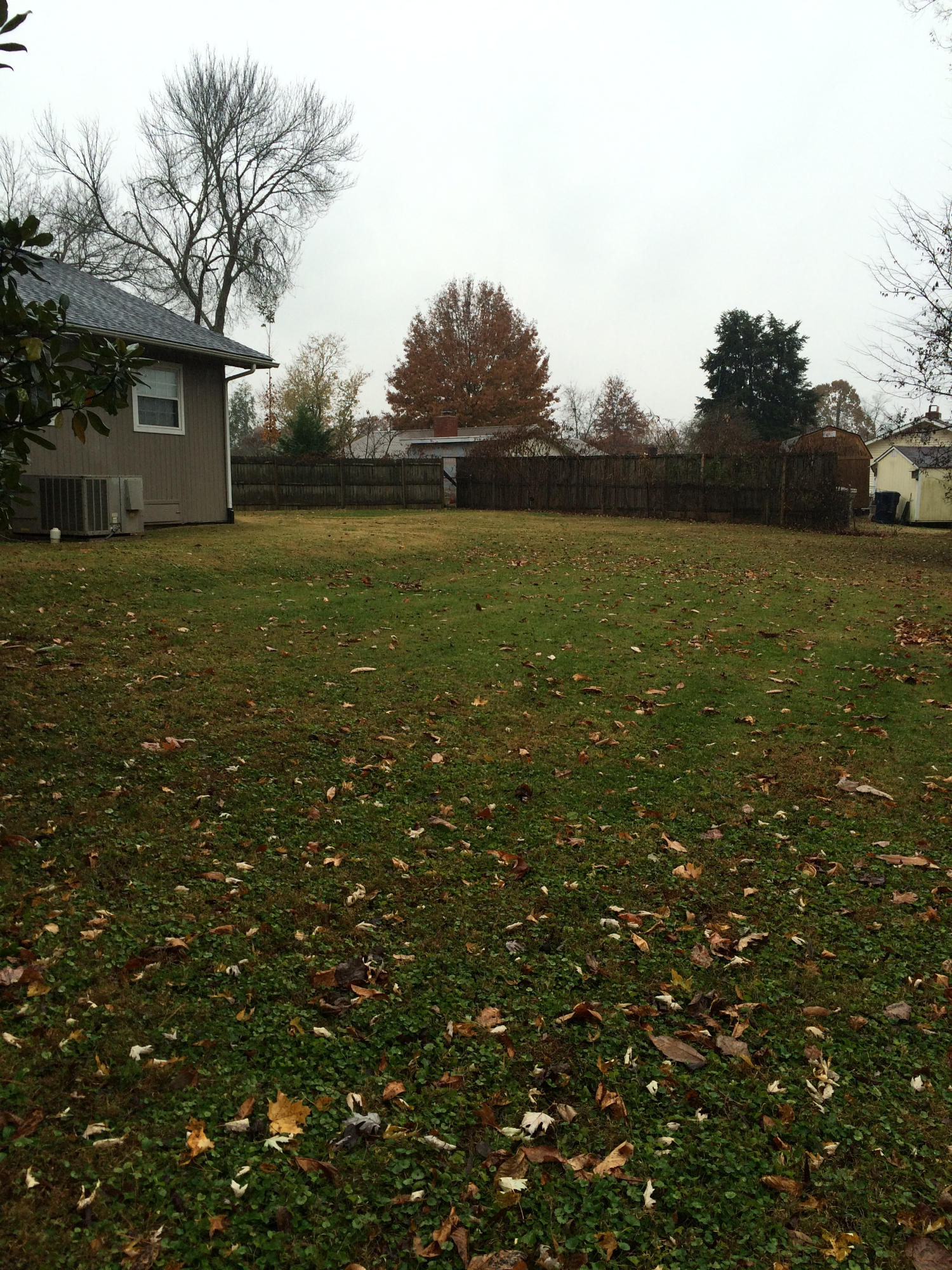 110 Verbena Road Oak Ridge, TN 37830 - Photo 27 of 28 Partially Fenced Yard