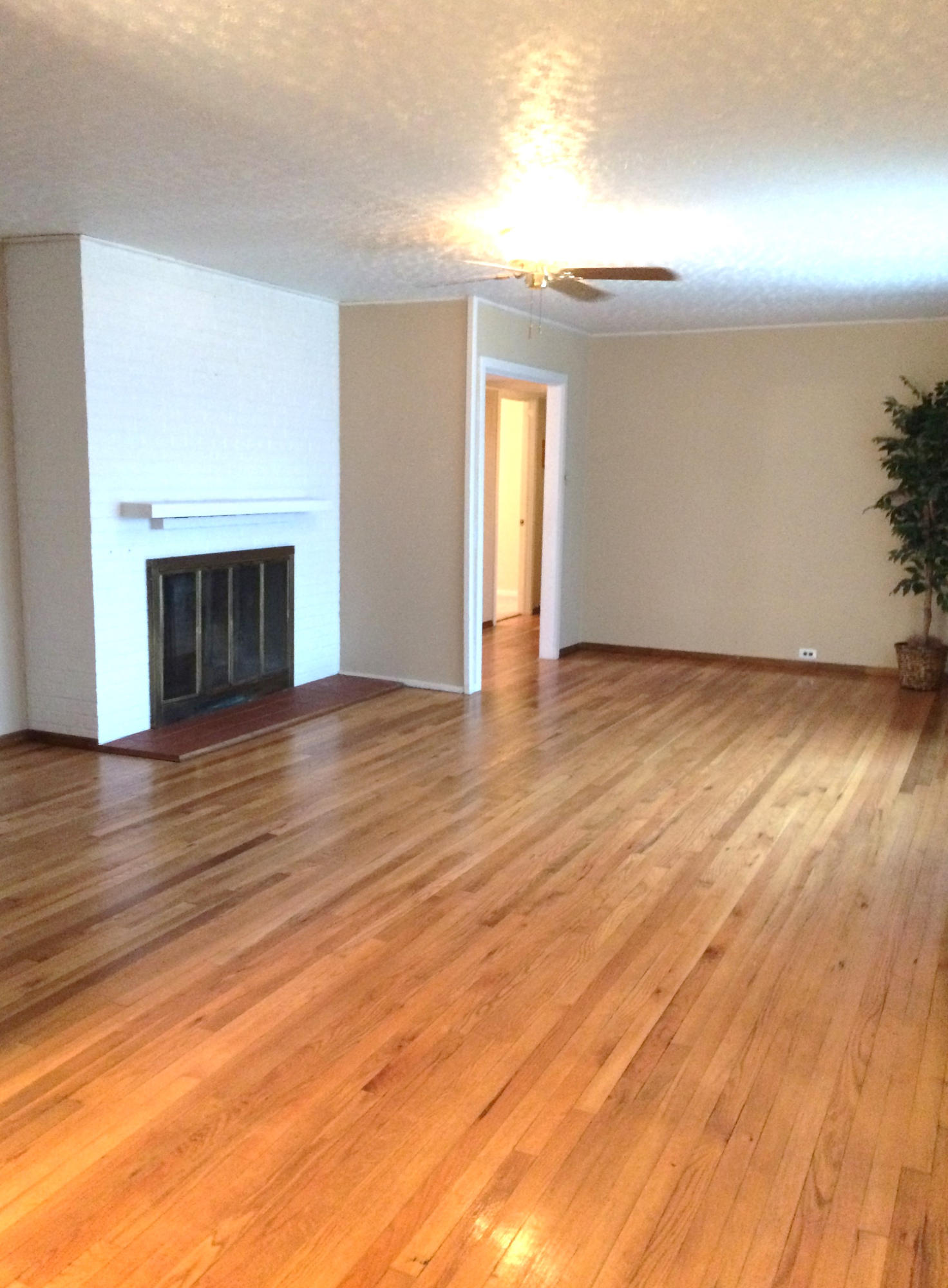 110 Verbena Road Oak Ridge, TN 37830 - Photo 7 of 28 Large LR w fireplace