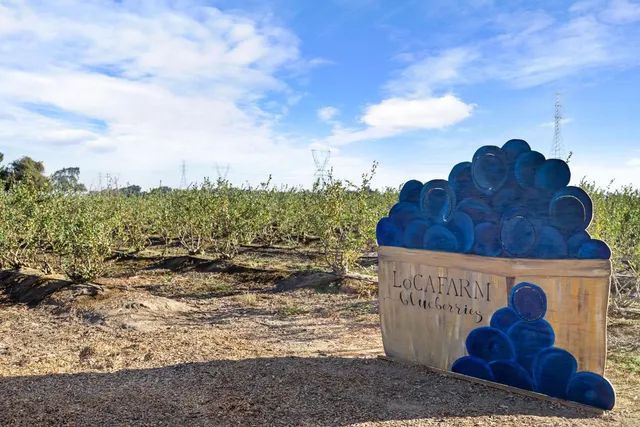 $1,925,000 | 5288 West Kile Road, Lodi, CA 95242