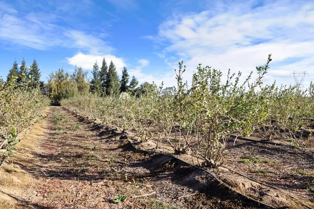 $1,925,000 | 5288 West Kile Road, Lodi, CA 95242